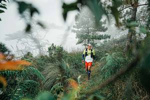 BIB: 
                            <button type="button" onclick="openModal(25258255)" class="btn btn-primary btn-sm float-right btn-popup" data-toggle="modal" data-target=".modal-high-quality">
                        <i class="fas fa-shopping-cart"></i> Add to Cart
                    </button>
                                            <button type="button" onclick="isThisMe(25258255, true)" class="btn btn-success btn-sm float-right btn-popup btn-isme hidden" data-toggle="tooltip" data-placement="bottom" title="นี่คือรูปของคุณใช่ไหม คลิกที่นี่เพื่อเอาเข้าอัลบั้ม">
                        <i class="fas fa-plus"></i> Add to album
                    </button>
                    <button type="button" onclick="isThisMe(25258255, false)" class="btn btn-warning btn-sm float-right btn-popup btn-isnotme hidden">
                        <i class="fas fa-ban"></i> Remove from album
                    </button>